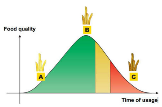 The life cycle of cooking oil